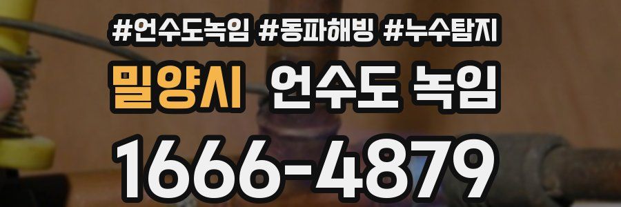 밀양시 언수도 녹임