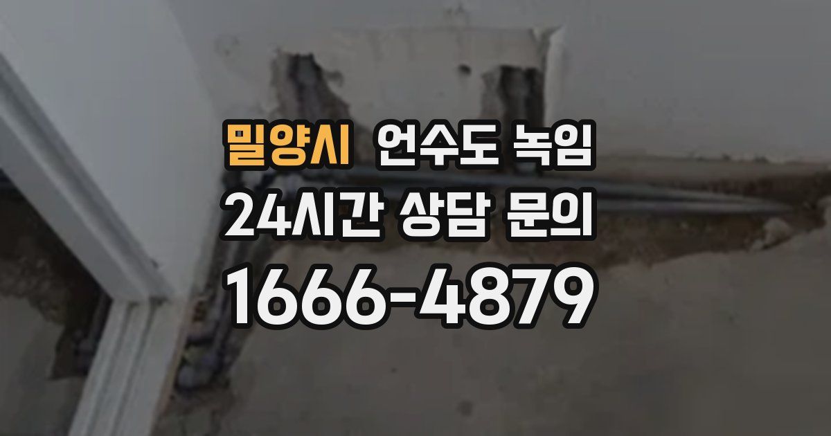 밀양시 언수도 녹임