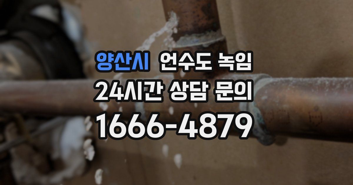 양산시 언수도 녹임