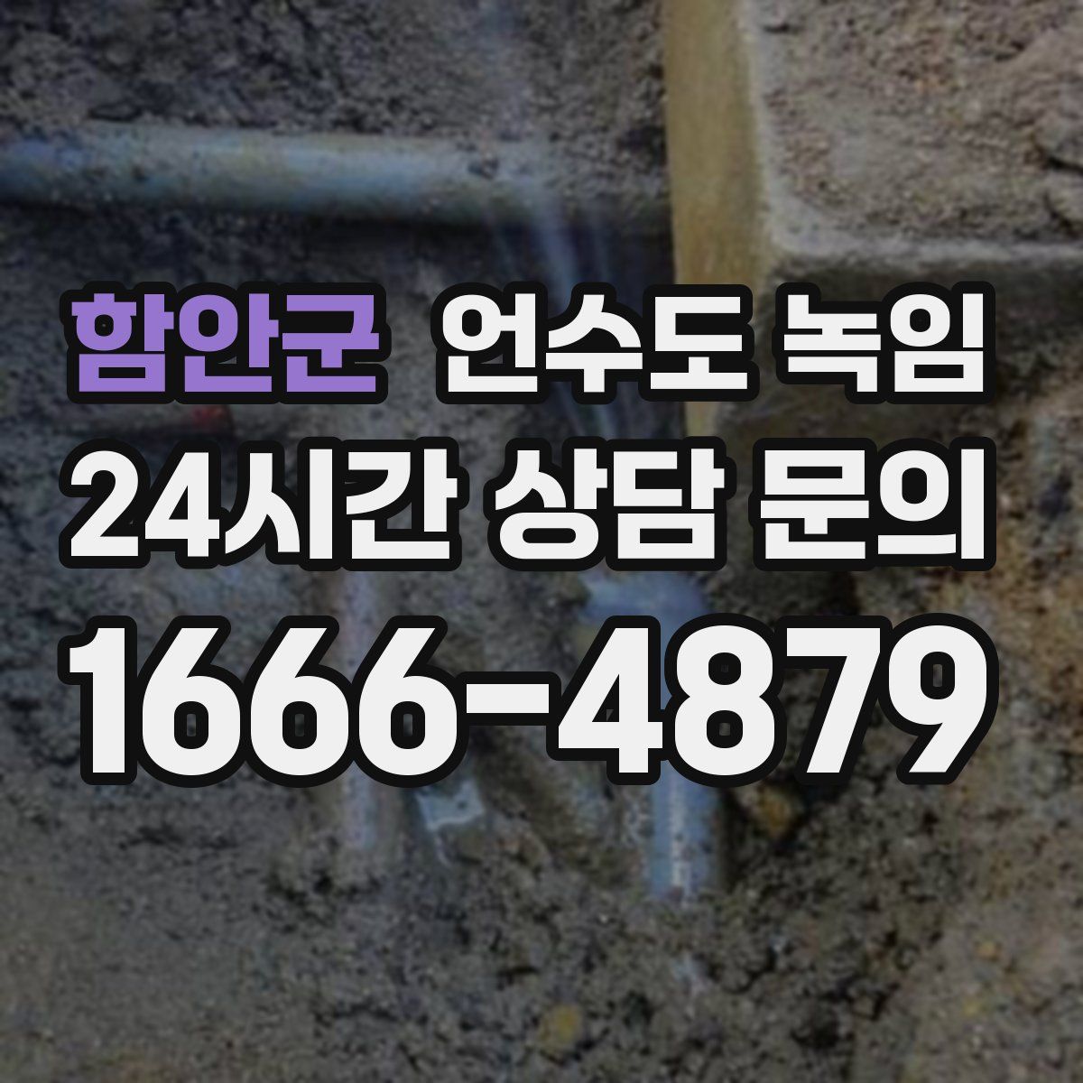 함안군 언수도 녹임