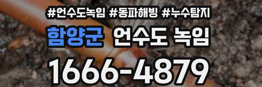 함양군 언수도 녹임