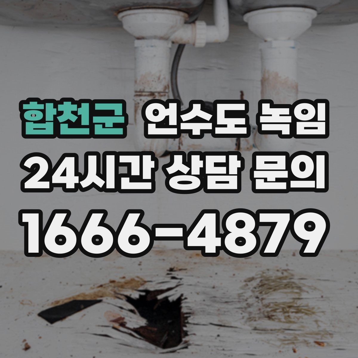 합천군 언수도 녹임