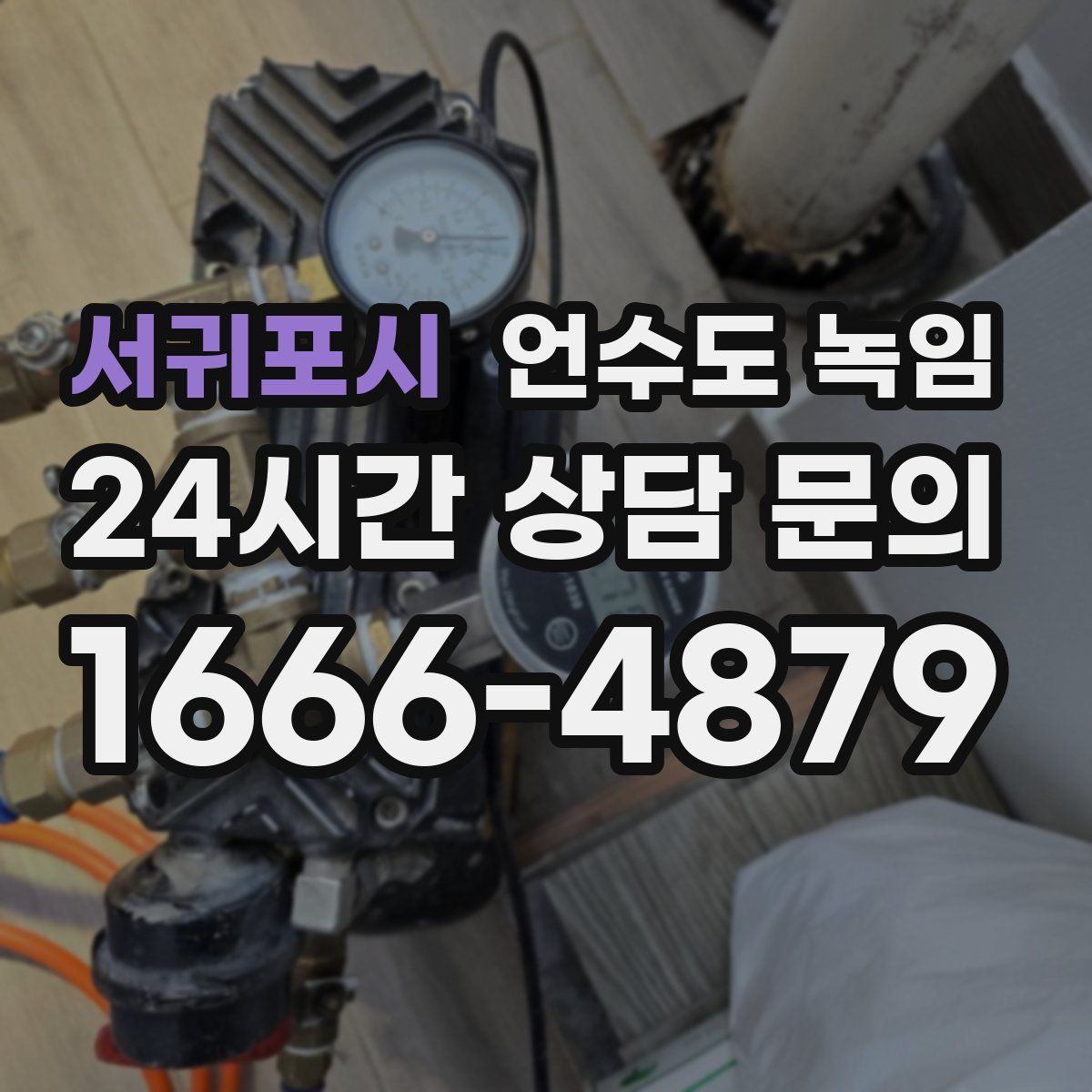 서귀포시 언수도 녹임