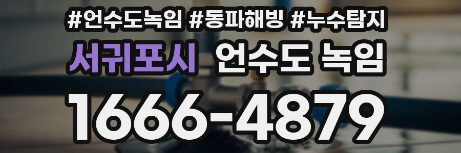 서귀포시 언수도 녹임