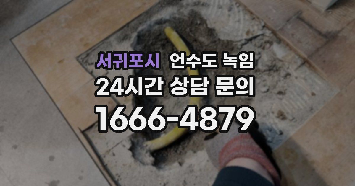 서귀포시 언수도 녹임