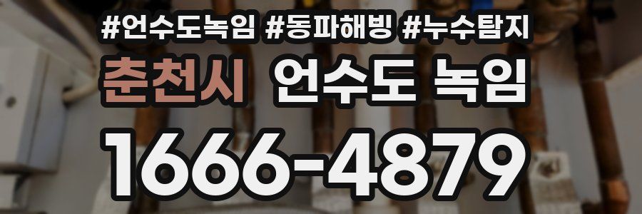 춘천시 언수도 녹임