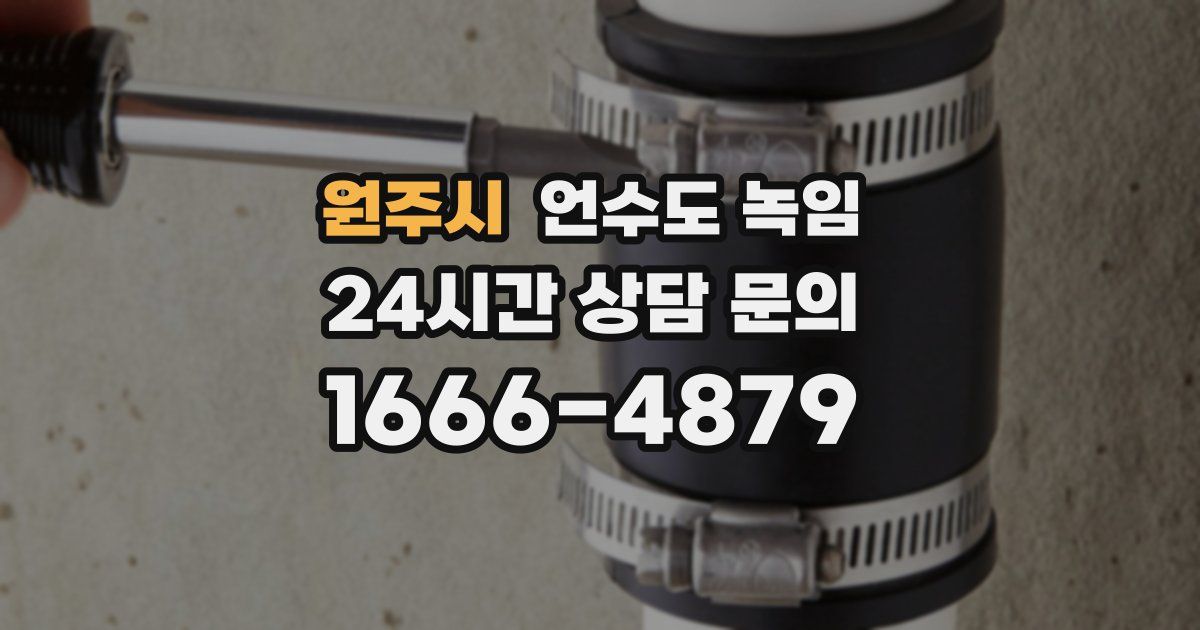 원주시 언수도 녹임