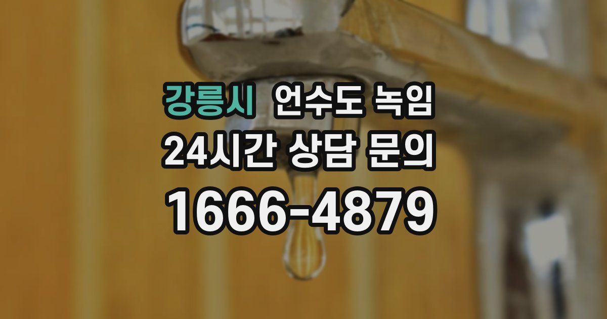 강릉시 언수도 녹임