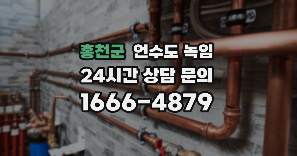 홍천군 언수도 녹임