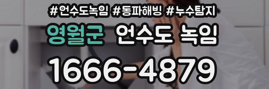 영월군 언수도 녹임