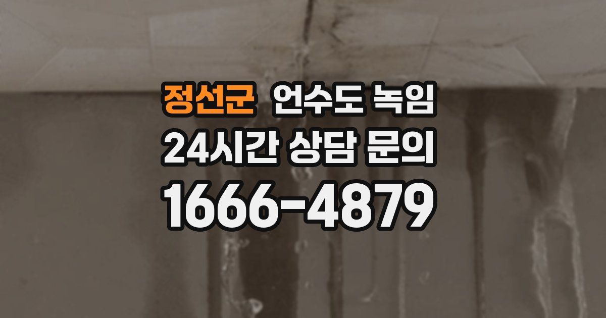 정선군 언수도 녹임