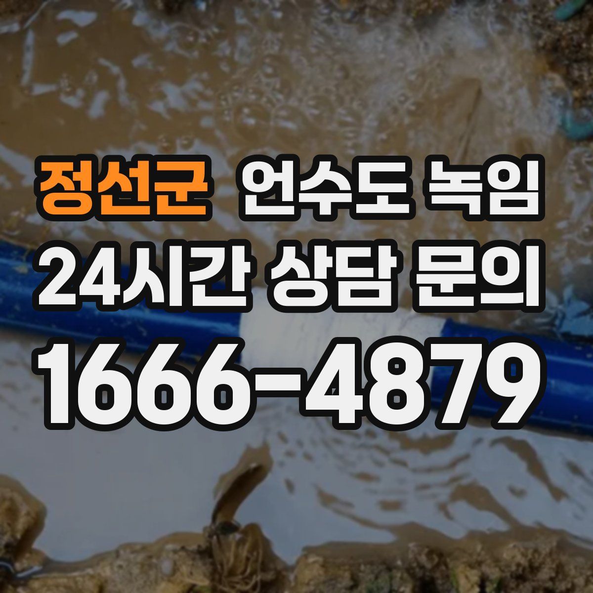 정선군 언수도 녹임