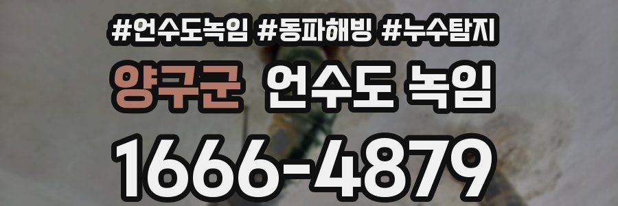 양구군 언수도 녹임