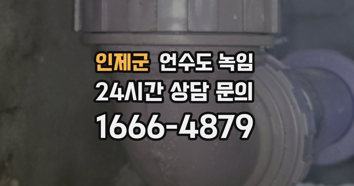 인제군 언수도 녹임