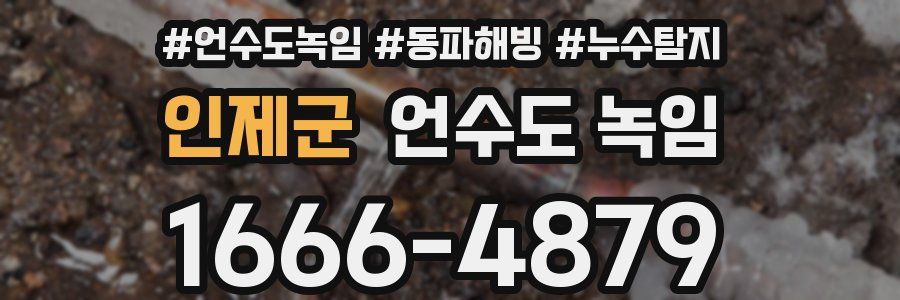 인제군 언수도 녹임