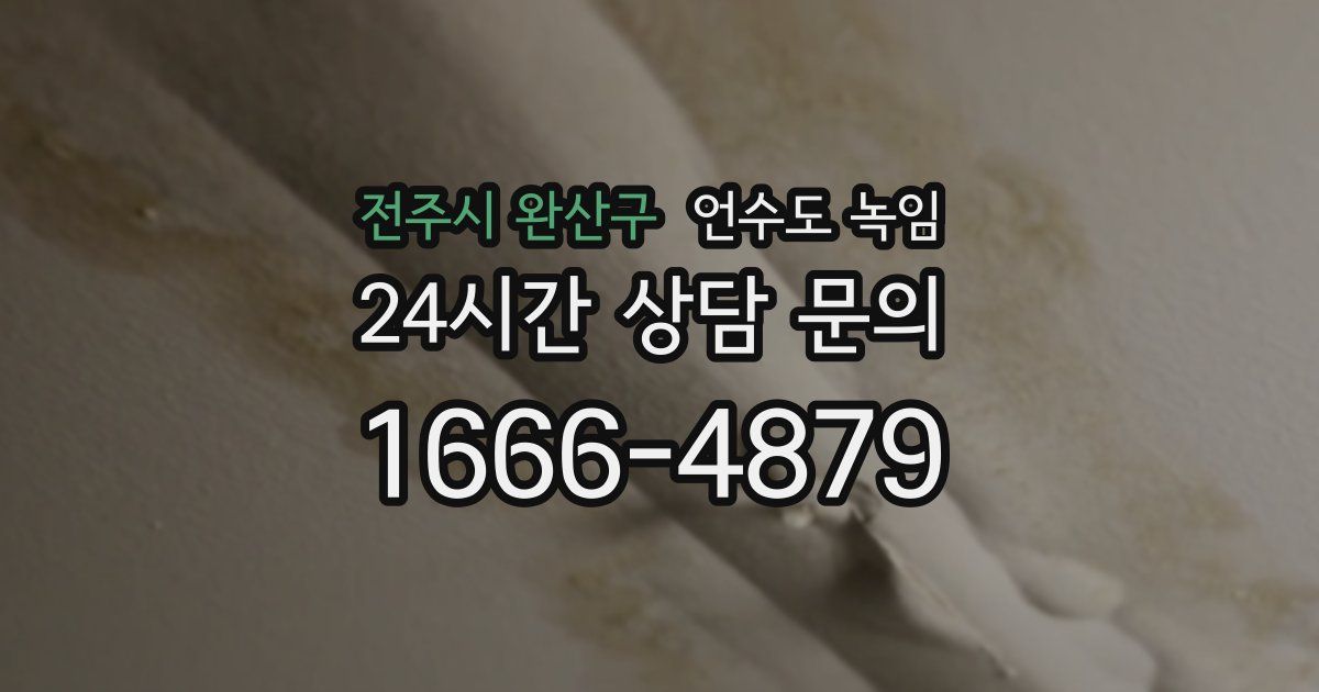 전주시 완산구 언수도 녹임