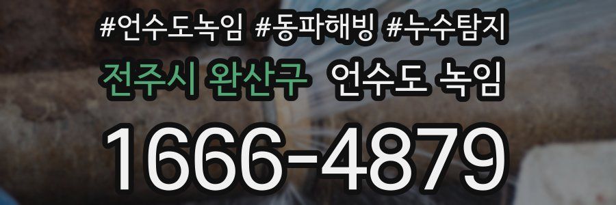전주시 완산구 언수도 녹임