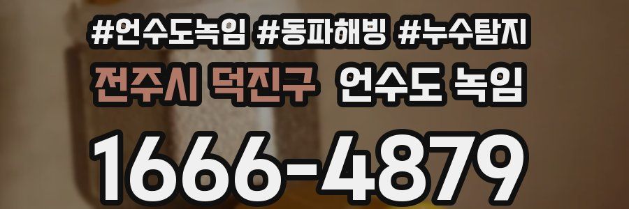 전주시 덕진구 언수도 녹임