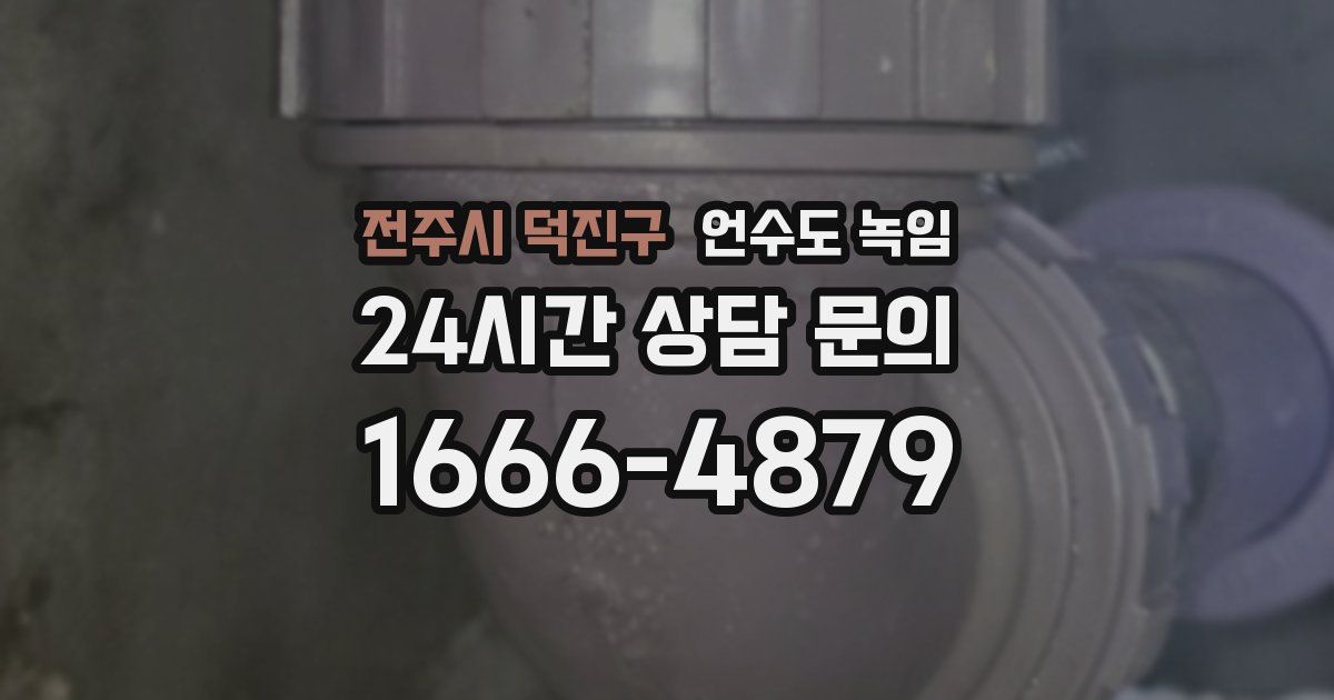 전주시 덕진구 언수도 녹임