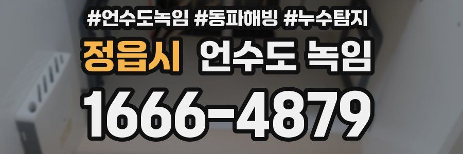 정읍시 언수도 녹임