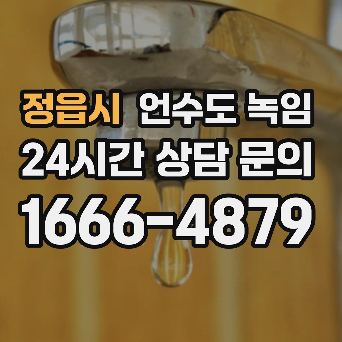 정읍시 언수도 녹임