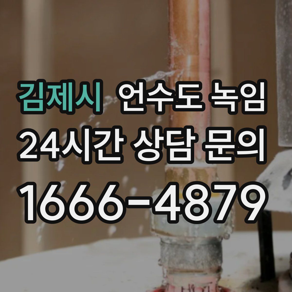 김제시 언수도 녹임