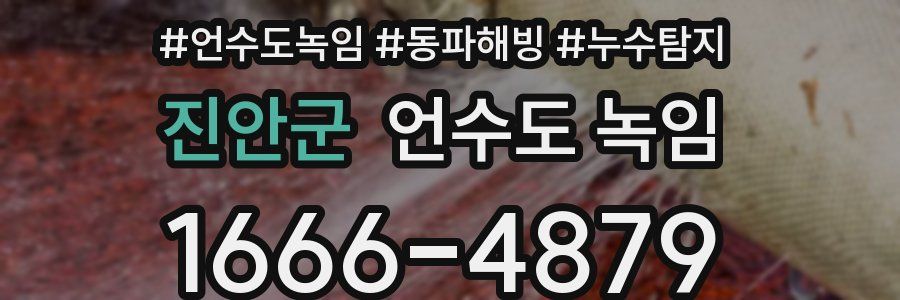 진안군 언수도 녹임