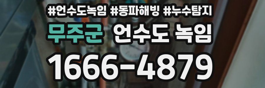 무주군 언수도 녹임