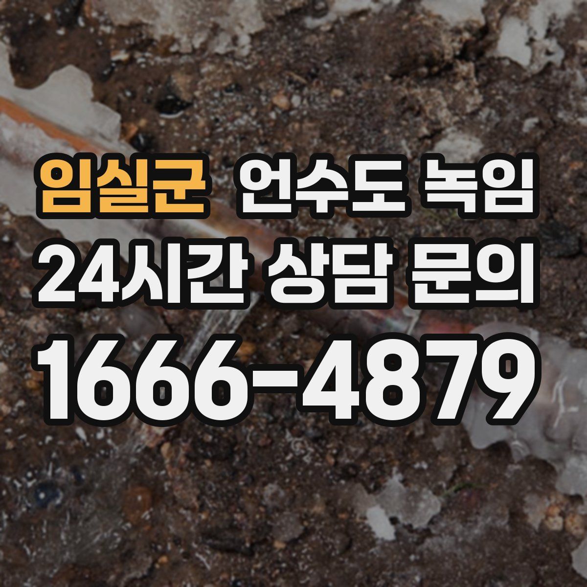 임실군 언수도 녹임