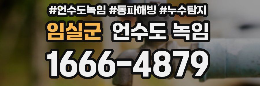 임실군 언수도 녹임