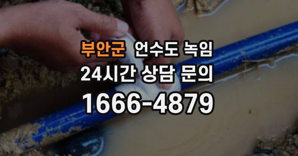 부안군 언수도 녹임