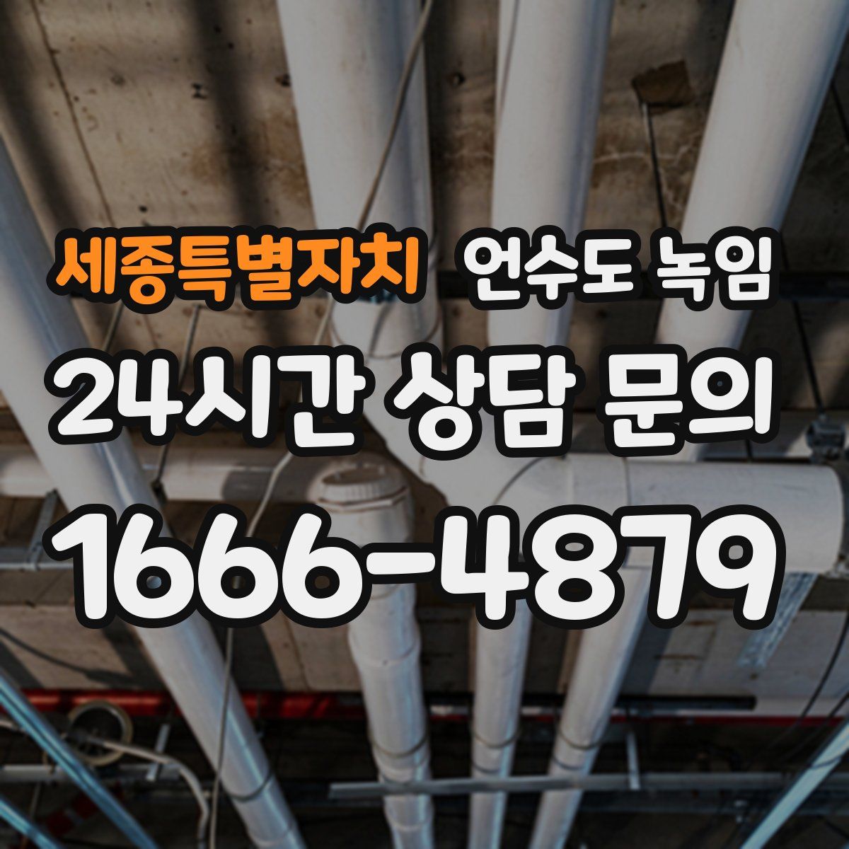 세종특별자치 언수도 녹임