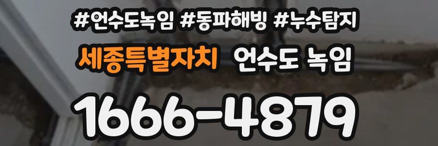 세종특별자치 언수도 녹임