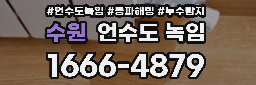 수원 언수도 녹임