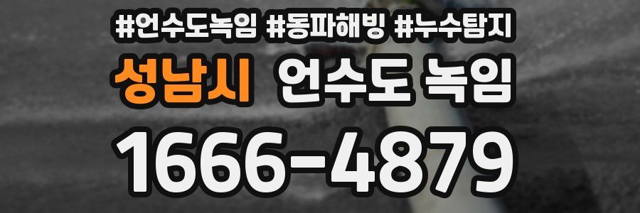 성남시 언수도 녹임