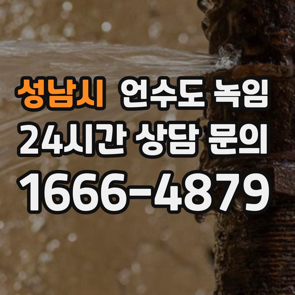 성남시 언수도 녹임