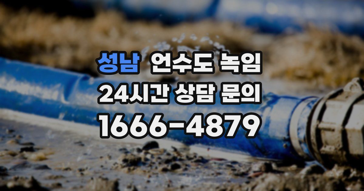 성남 언수도 녹임