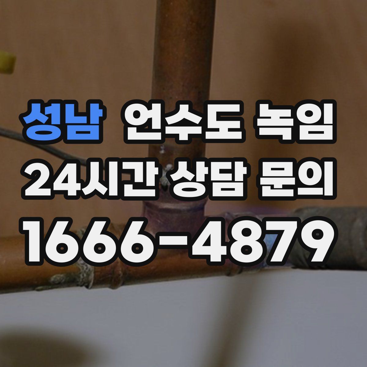 성남 언수도 녹임