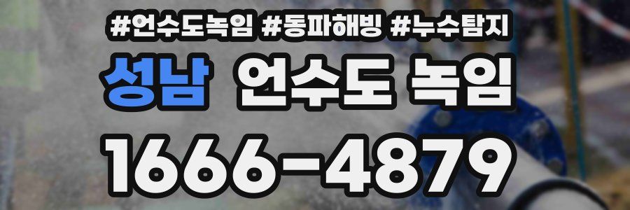 성남 언수도 녹임