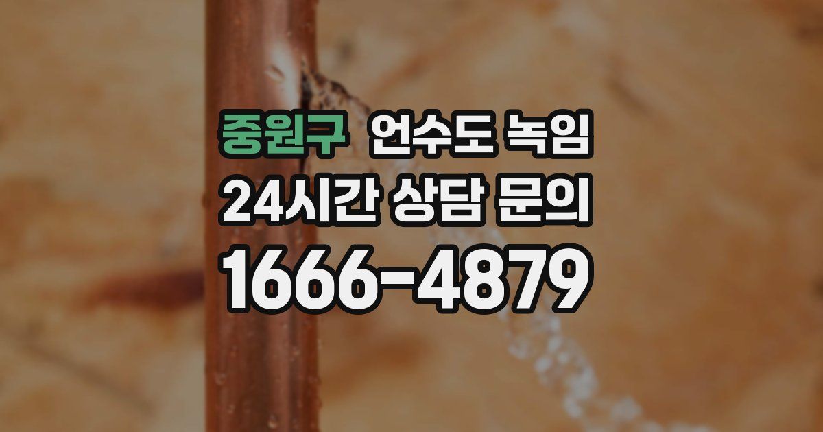 중원구 언수도 녹임