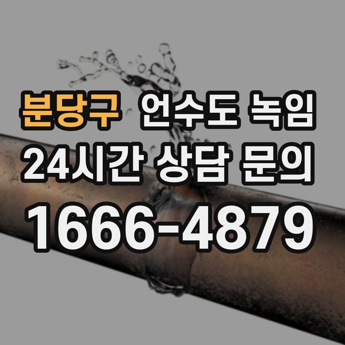 분당구 언수도 녹임