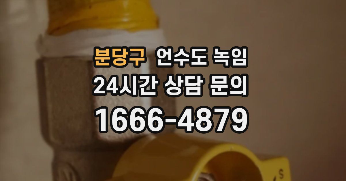 분당구 언수도 녹임