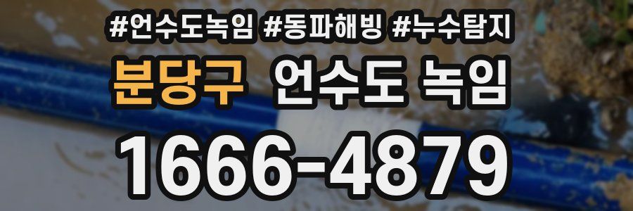 분당구 언수도 녹임