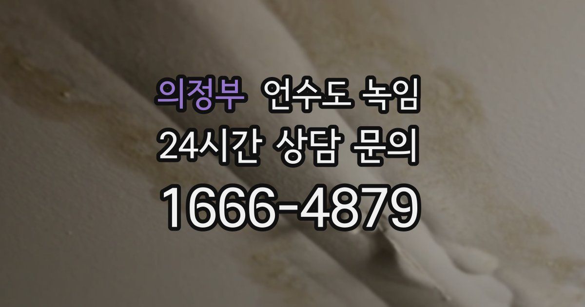 의정부 언수도 녹임