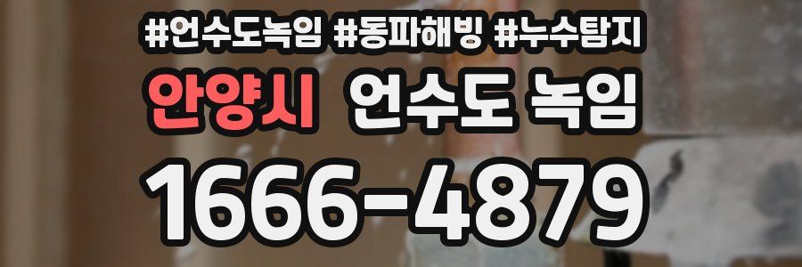 안양시 언수도 녹임