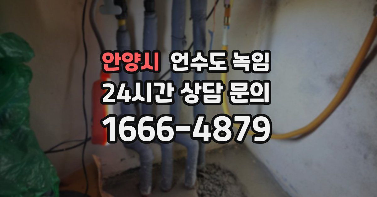 안양시 언수도 녹임