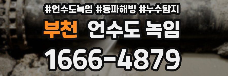 부천 언수도 녹임
