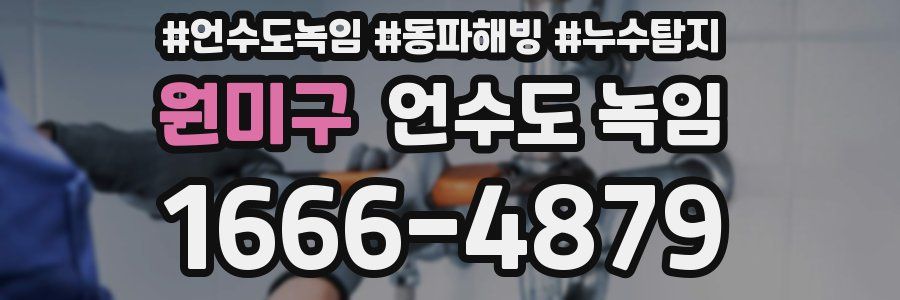 원미구 언수도 녹임