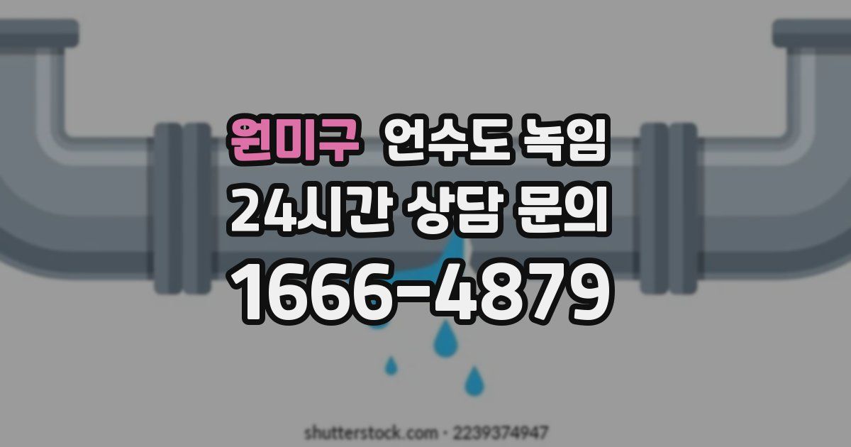 원미구 언수도 녹임