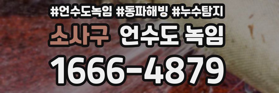 소사구 언수도 녹임